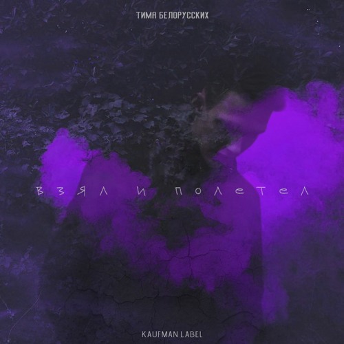 Взял и полетел